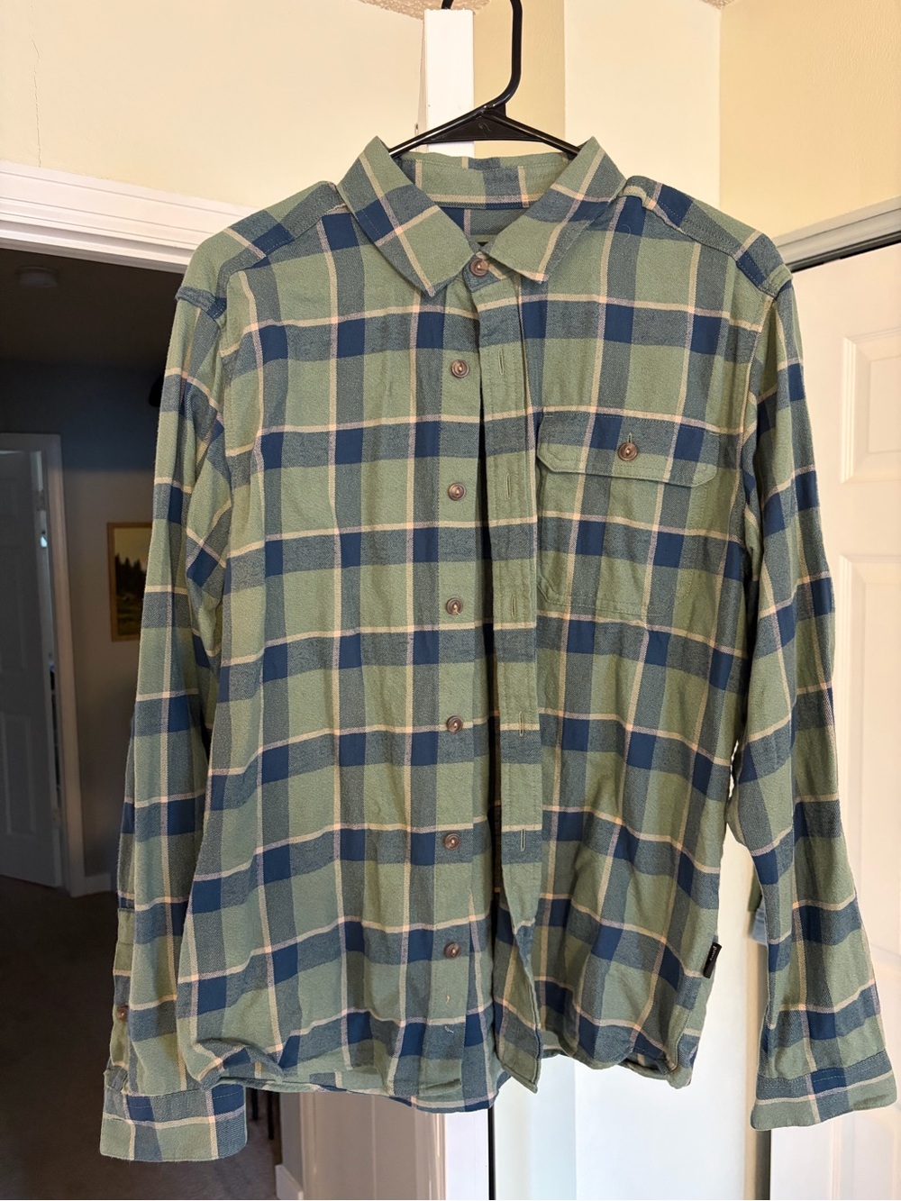 Patagonia Green and Blue Plaid Casual Button-Down Shirt